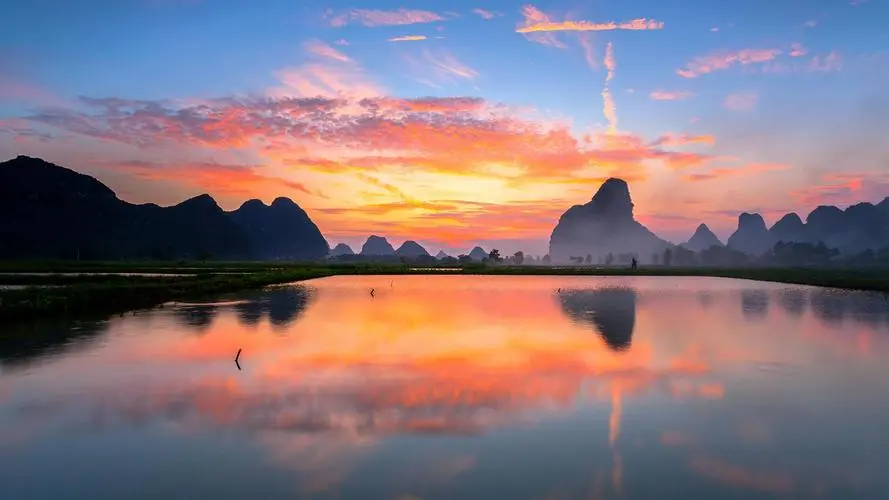 高效全自动高端